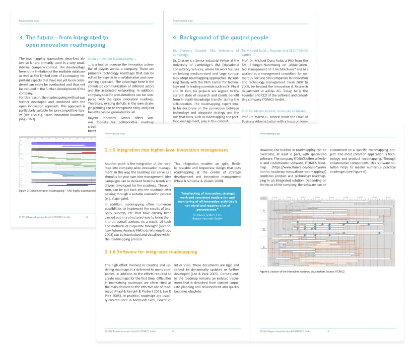 Overview - Roadmapping White Paper PDF ITONICS